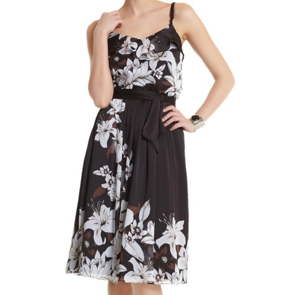 WHBM  Lily-Print Blouson Sundress 2, 4, 6, 8
